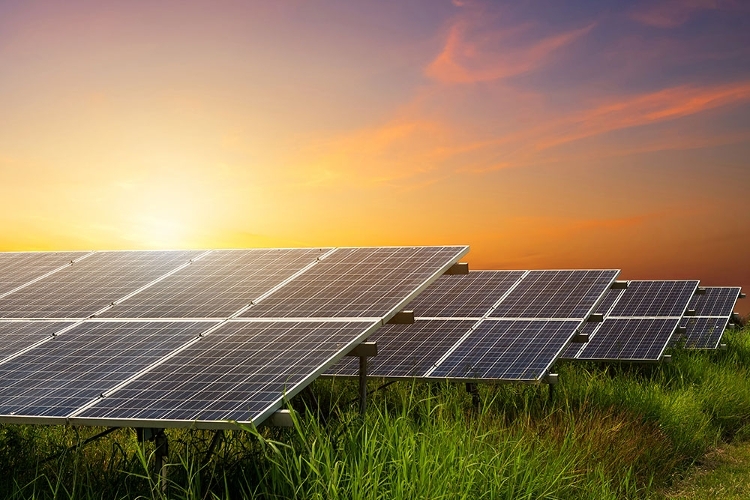 A stock image of a solar farm