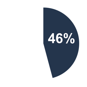 46% Pie Chart