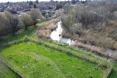 13 - Planting for the future